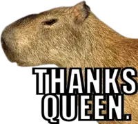 :#chadthanksqueencapy: