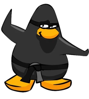 :#clubpenguinninja: