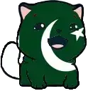 :#marseyflagpakistan: