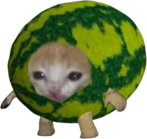 :watermeloncat: