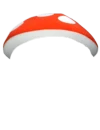 @CursedDANKmemes's hat