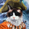 @bussycat's profile picture