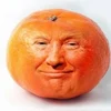 @OrangeFruitGood's profile picture