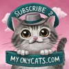 @Subscribe2myOnlyCatsdotco's profile picture
